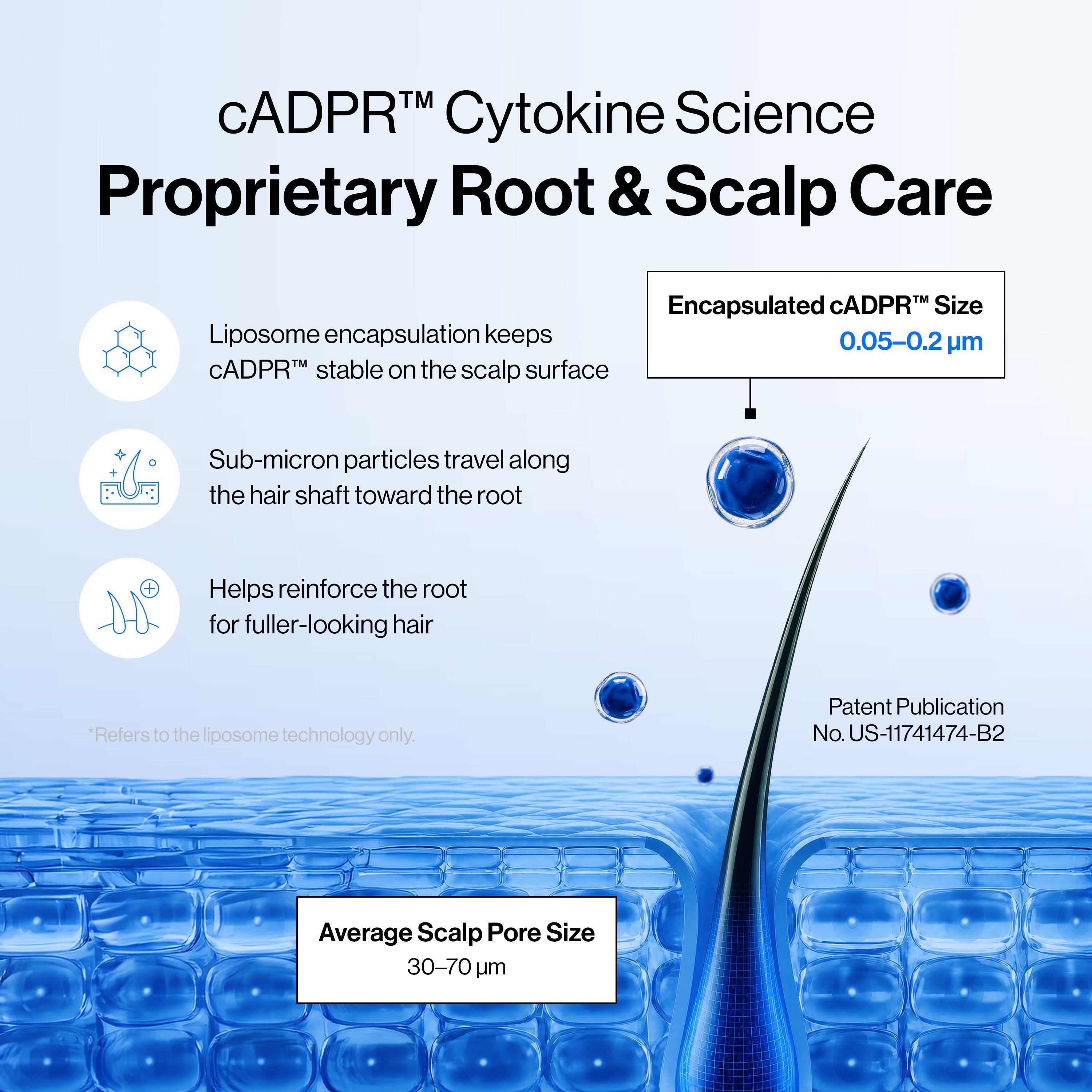 Intensive cADPR™ Hair Growth Serum view 6